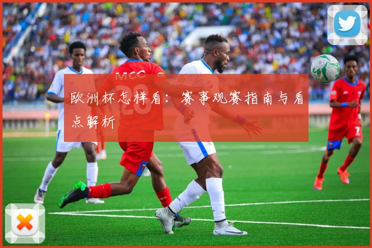 欧洲杯怎样看：赛事观赛指南与看点解析
