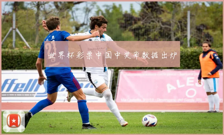 世界杯彩票中国中奖率数据出炉